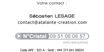 Graphiste illustrateur webmaster en Saône et Loire (71)